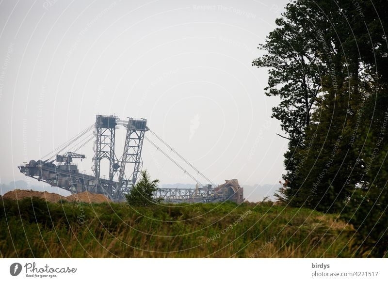 Lignite excavator at Hambach Forest. The bucket-wheel excavator digs its way up to 50 metres to the edge of the forest Opencast mining Hambach