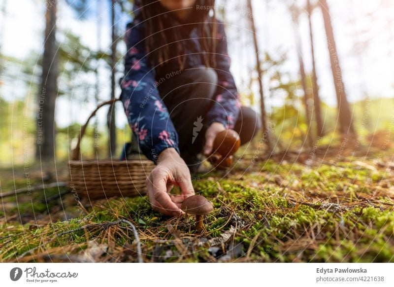 Woman picking mushroom in the forest mushrooms food fresh fungus healthy plants trees Poland day outdoors daytime nature autumn fall wild green wilderness