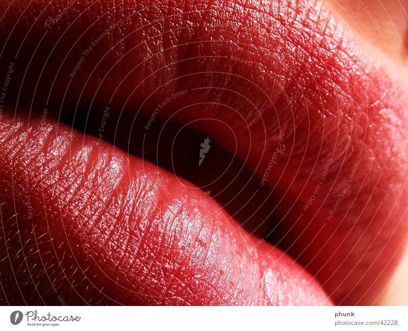 lipcloseup Provocative Extreme Risk Exciting Soft Sensitive Morning Lips Red Lipstick Woman Feminine Alluring Dangerous Kissing Crunchy Lipgloss Pink Close-up