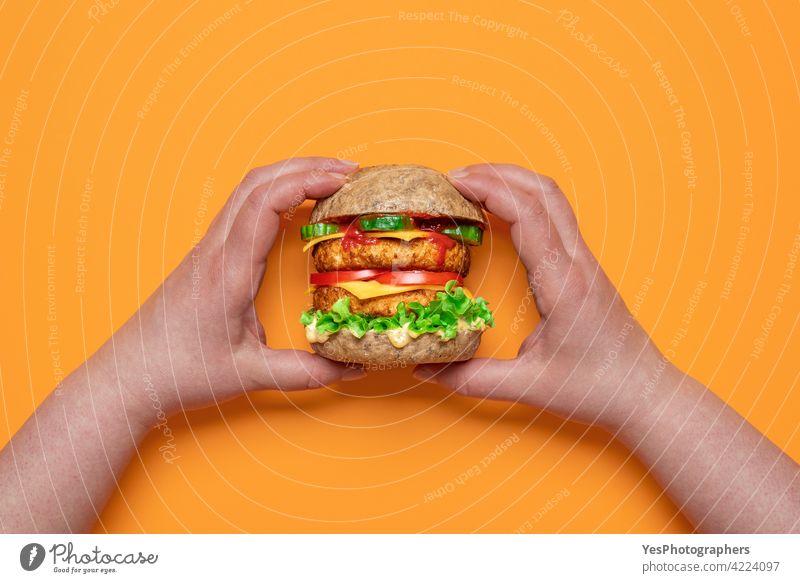 Veggie burger top view. Woman hands holding a vegan cheeseburger. above alternative awareness background bread color consumerism cuisine cut out delicious