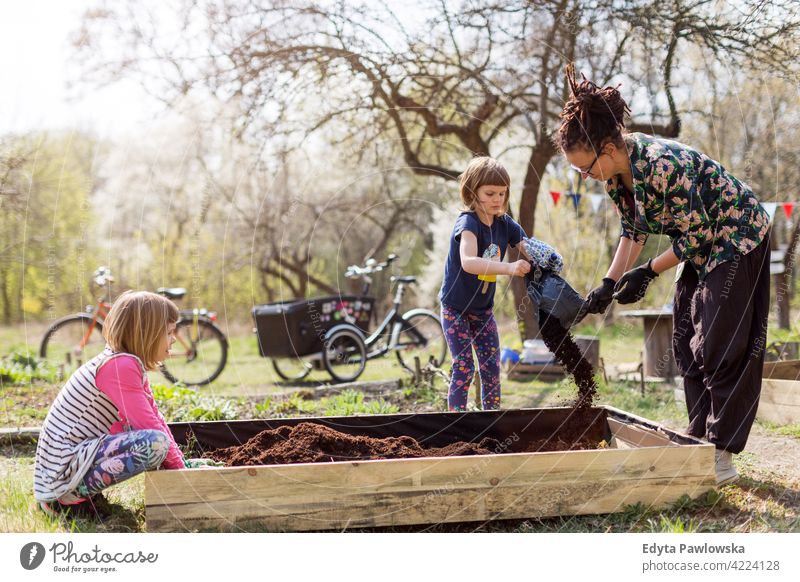 Mother with two young daughters gardening in urban community garden urban garden environmental conservation sustainable lifestyle homegrown produce harvesting