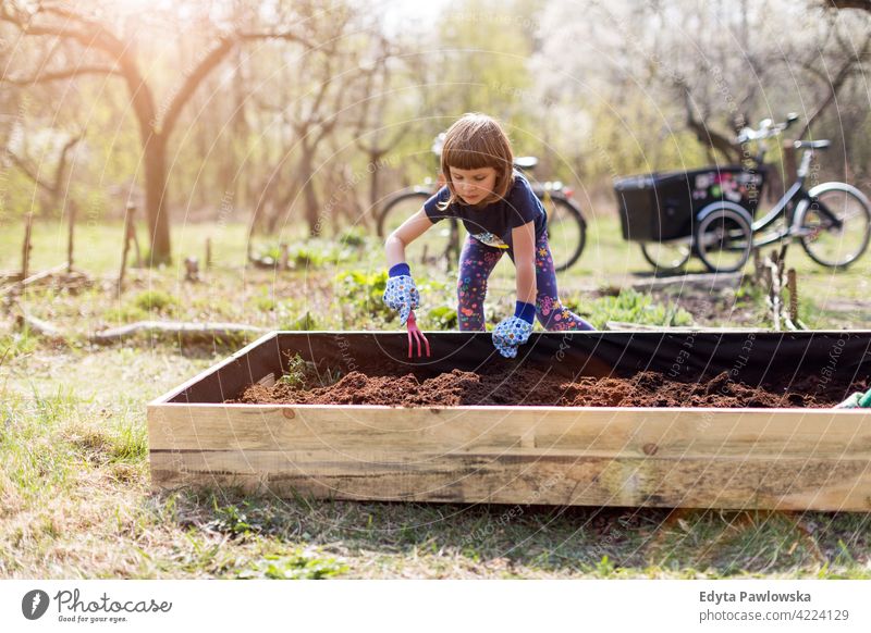 Cute little girl enjoy gardening in urban community garden watering watering can urban garden environmental conservation sustainable lifestyle homegrown produce