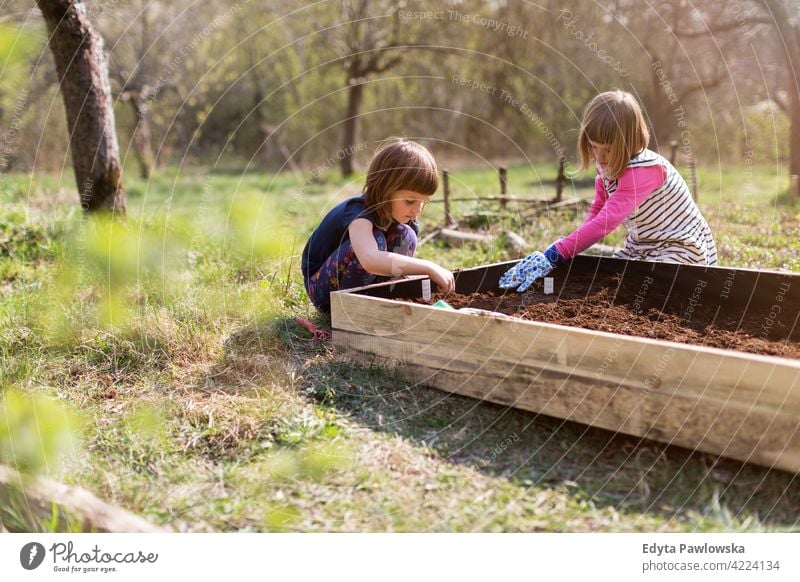 Two little girls gardening in urban community garden watering watering can urban garden environmental conservation sustainable lifestyle homegrown produce
