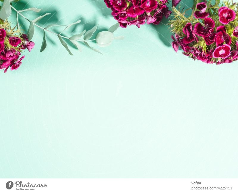 Pastel green turquoise background with pink flowers - a Royalty Free Stock  Photo from Photocase