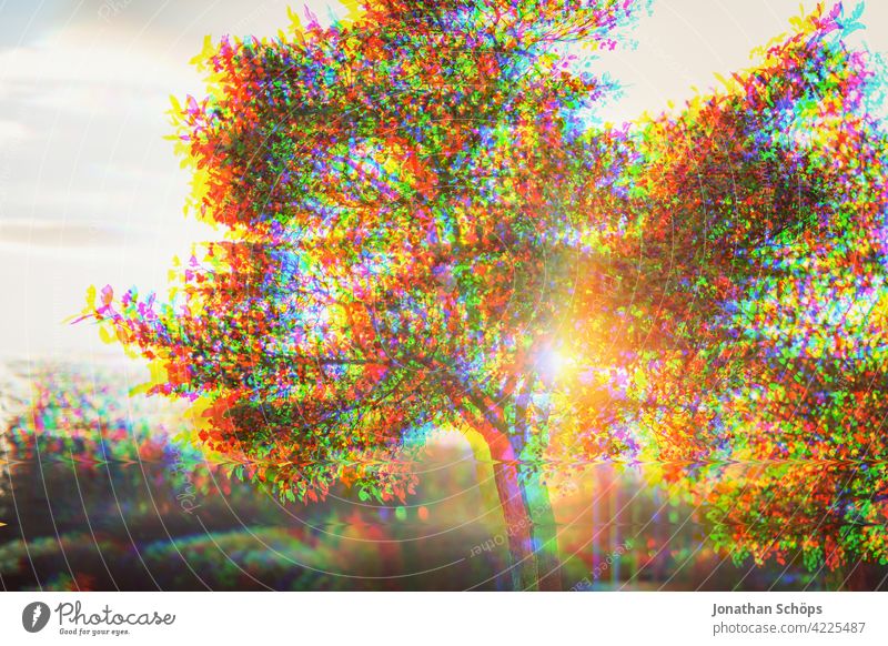 Tree in garden glitch effect Nature Landscape Exterior shot Deserted Environment Colour photo Environmental protection Sustainability Anaglyph Error variegated