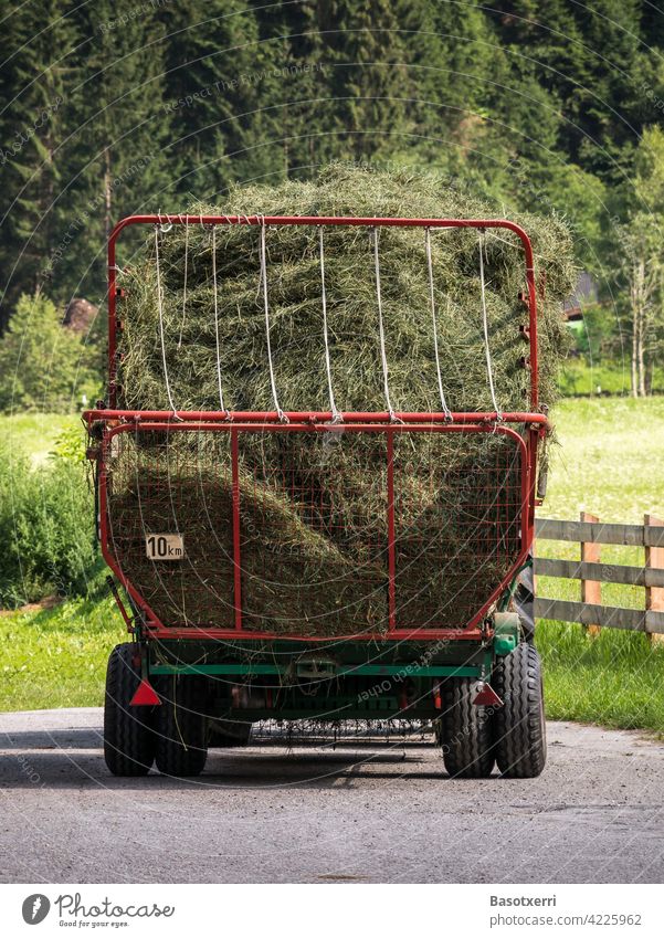 Hay harvest in the Alps. Trailer full of hay. Stubai, Tyrol, Austria. Grass mares Tractor Slowly 10 km 10 km/h structure Scaffolding superstructure Agriculture