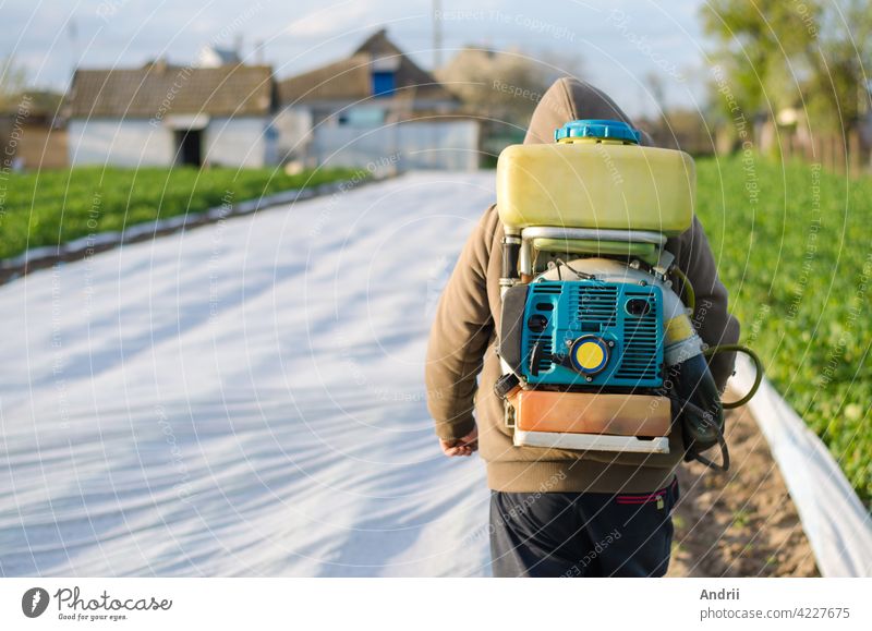 A farmer with a mist sprayer on his back walks through the farm field. Protection of cultivated plants from insects and fungal infections. The use of chemicals for crop protection in agriculture
