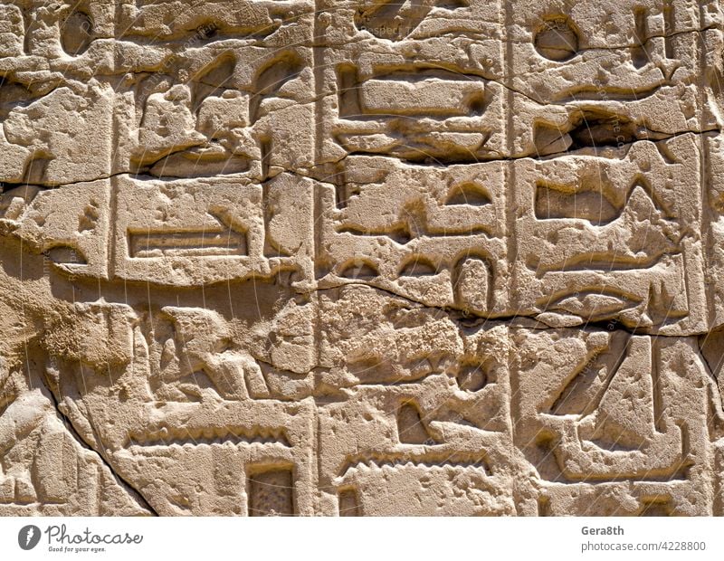 Ancient Egyptian hieroglyphs on the wall in Luxor in Egypt Africa ancient ancient alphabet ancient letters architecture authentic background building cairo