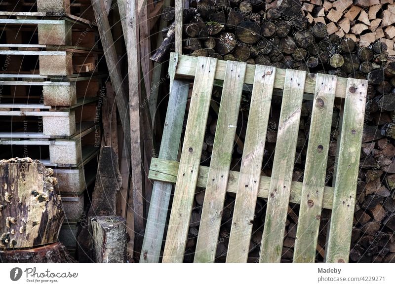 Firewood for the winter and old wooden pallets to burn in front of a house in Oerlinghausen near Bielefeld in the Teutoburg Forest in East Westphalia-Lippe, Germany