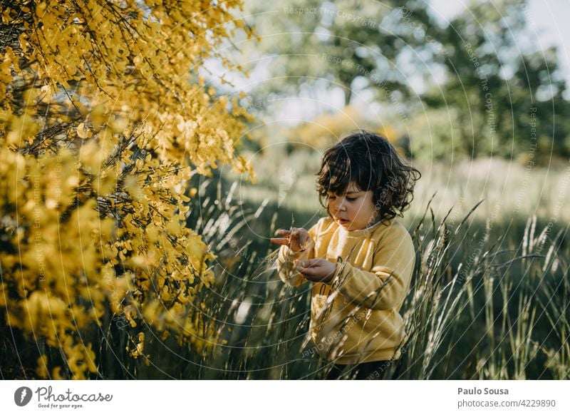 Child picking spring flowers childhood Girl 1 - 3 years Yellow Spring Caucasian Day Lifestyle Playing Joy Exterior shot Nature Colour photo Infancy Human being