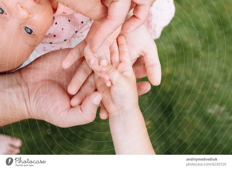 Four Hands Family. Image & Photo (Free Trial)