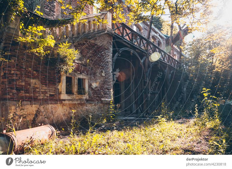 Morning in Triglav National Park: Old villa on Lake Bled River soca Purity Hiking trip Light Day Trip Tourism nature conservation Vacation & Travel Mountain