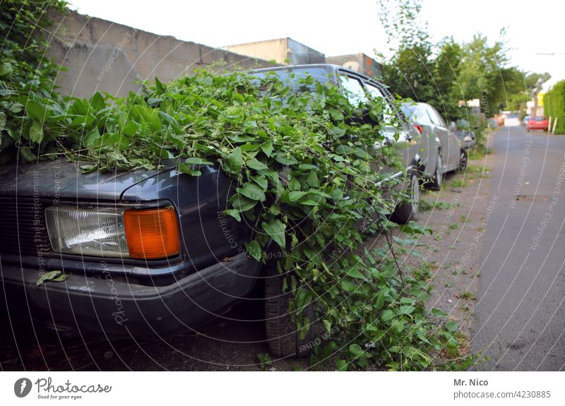 urban jungle Parking lot car Old Overgrown Forget Wrecked car scrappage bonus household trash wreck Lanes & trails Street Car Weed Means of transport Vehicle