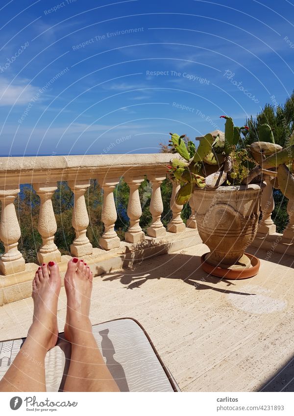 Just no stress ( 1234 photos .... Hurray ! ) Spain Balearic Islands Majorca Terrace Vantage point Vacation & Travel Mediterranean Summer South Flair Ocean