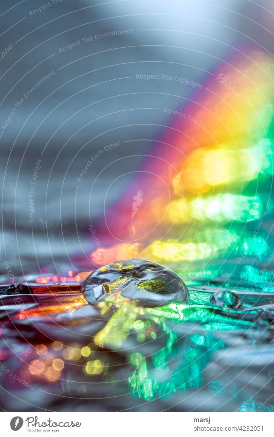 Pure clear water drops illuminated by a bright rainbow Reflection Drops of water Refraction Light (Natural Phenomenon) Experimental Colour photo Multicoloured