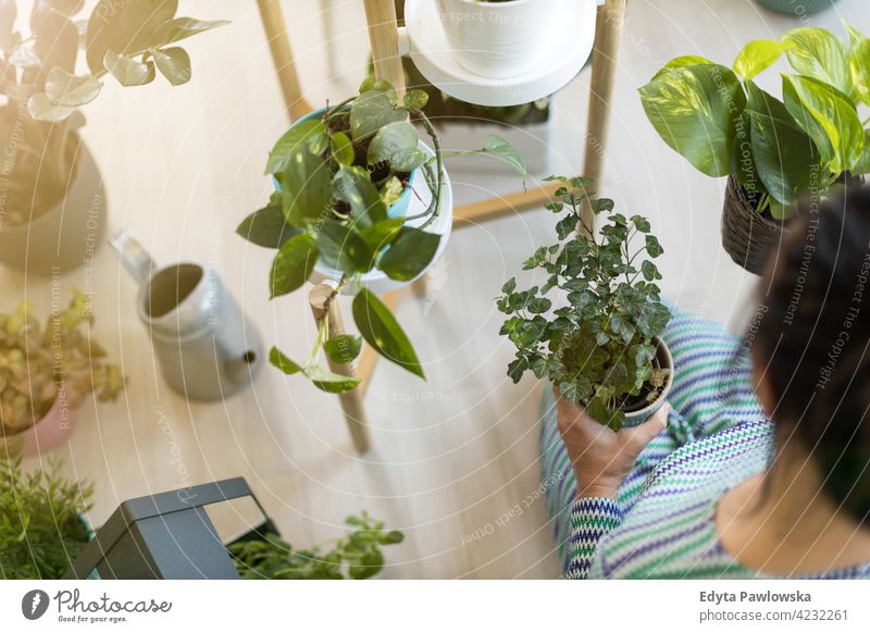 Young woman taking care of her potted plants at home floristry healthy blossom horticulture flora botanical decoration botany grow growing fresh leaf growth