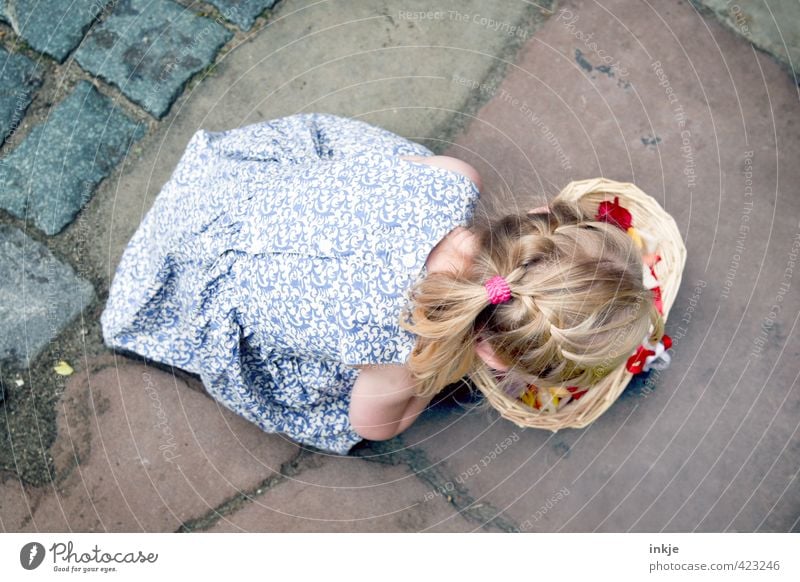 Flower Girl I Feasts & Celebrations Wedding Toddler Infancy Life Body Hair and hairstyles Back 1 Human being 3 - 8 years Child Dress Blonde Long-haired Braids