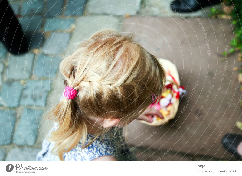 Flower Girl II Feasts & Celebrations Wedding Toddler Infancy Life Head Hair and hairstyles 1 Human being 3 - 8 years Child Blonde Red-haired Long-haired Braids