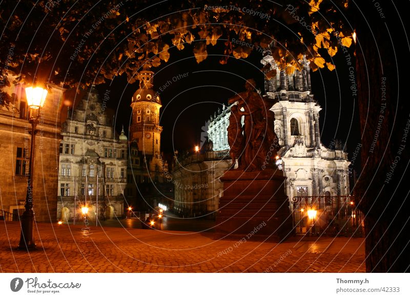 View from the Brühlsche Terasse in Dresden Night Street lighting Tree Leaf Architecture Religion and faith Light