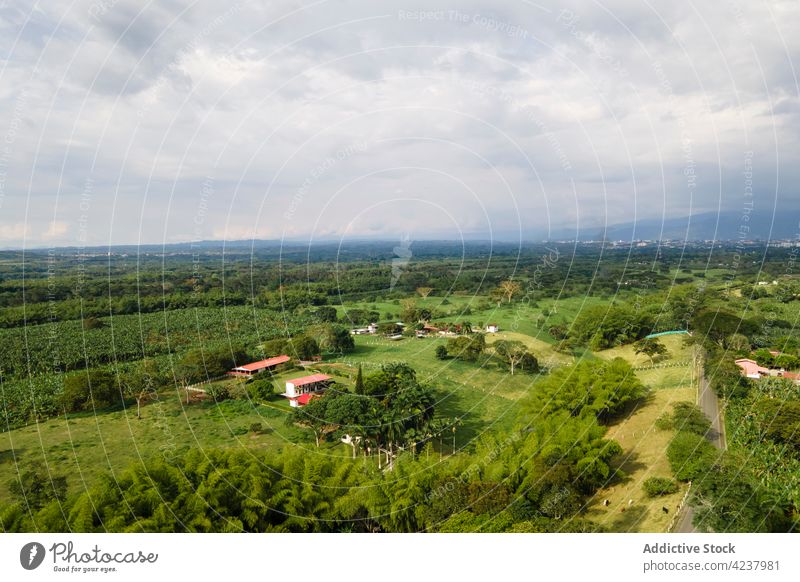 Drone view of villas located in verdant tropical countryside cottage scenery scenic nature settlement neighborhood cloudy picturesque tranquil house lush