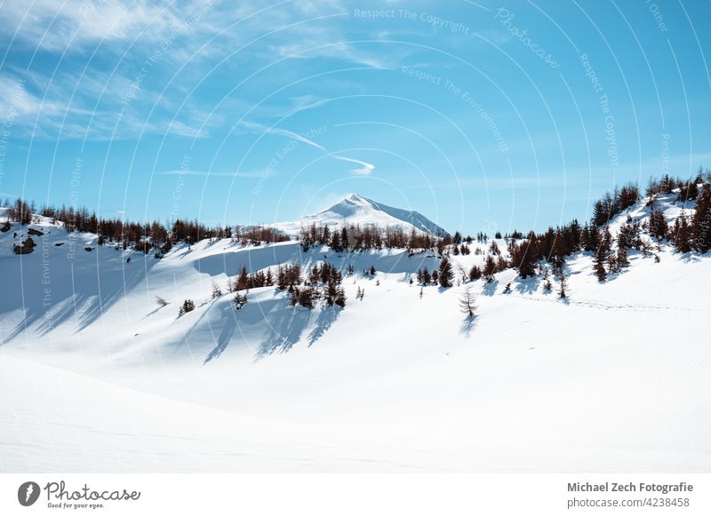 Winter hike in the Swiss Alps near Feldis, Canton of Graubünden landscape blue nature spruce winter forest snow christmas switzerland sky mountain fir travel