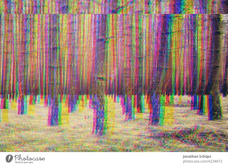 bare tree trunks in the forest with glitch effect Forest Tree trunk Bleak Coniferous forest Nature Landscape Exterior shot Deserted Environment Colour photo