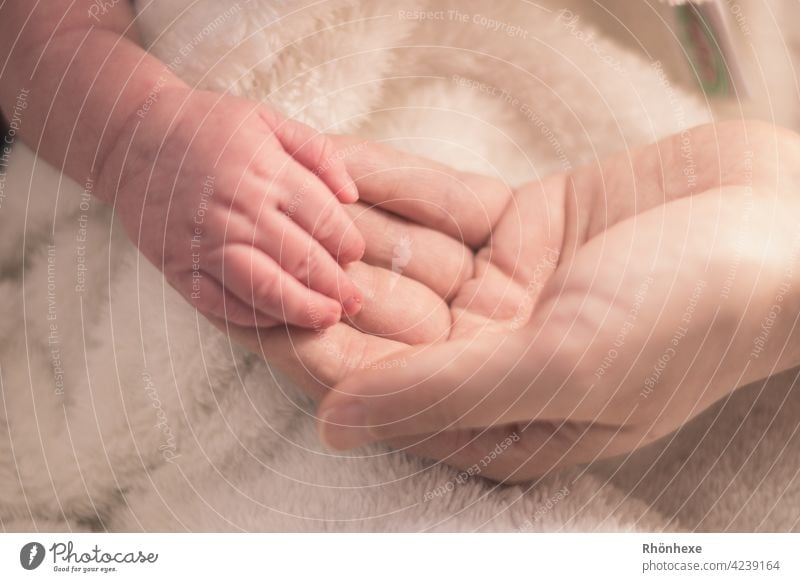 Closeup of mother hands holding cute tiny baby feet, showing baby