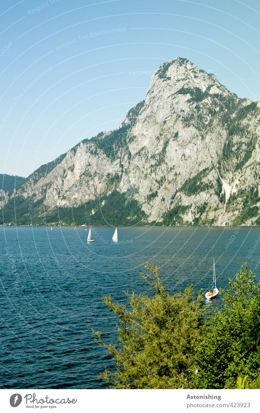 Traunstein Sailing Environment Nature Landscape Plant Water Sky Cloudless sky Summer Weather Beautiful weather Warmth Tree Leaf Alps Mountain Peak Waves Lake