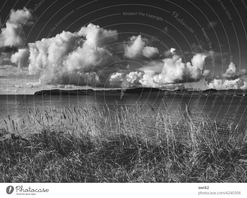 Durable... Black & white photo Exterior shot Sky Clouds Horizon coast Baltic Sea Maritime Beach Ocean Landscape Water Mecklenburg-Western Pomerania Baltic coast