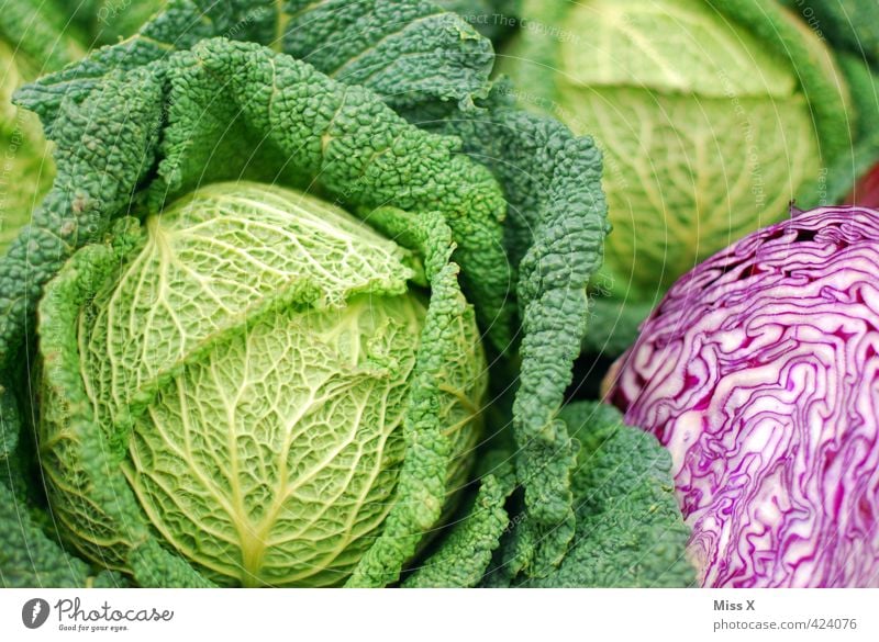 savoy cabbage Food Vegetable Lettuce Salad Nutrition Organic produce Vegetarian diet Diet Fresh Healthy Delicious Green Savoy cabbage Red cabbage Cabbage