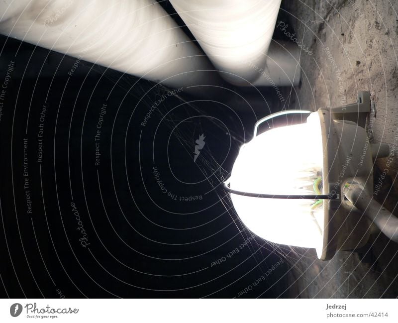 cellar lamp Lamp Water pipe Cellar Wall (building) Dark Electric Bright spider's web Contrast Cable Pipe