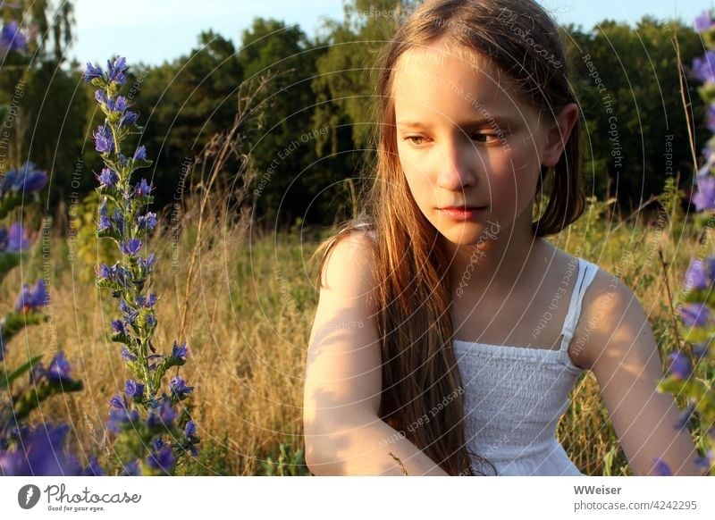 Thoughtfully the girl sits on the summer meadow in the warm afternoon light Girl ponder Infancy Peaceful Sun Plant Light Warmth Summer Field Meadow silent Calm