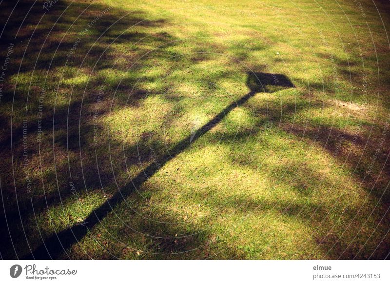 Shadows of a nostalgic street lamp and foliage on a meadow / park / relax nostalgically Meadow Shadow play Tree bush Park Green space Sunlight Grass Nature