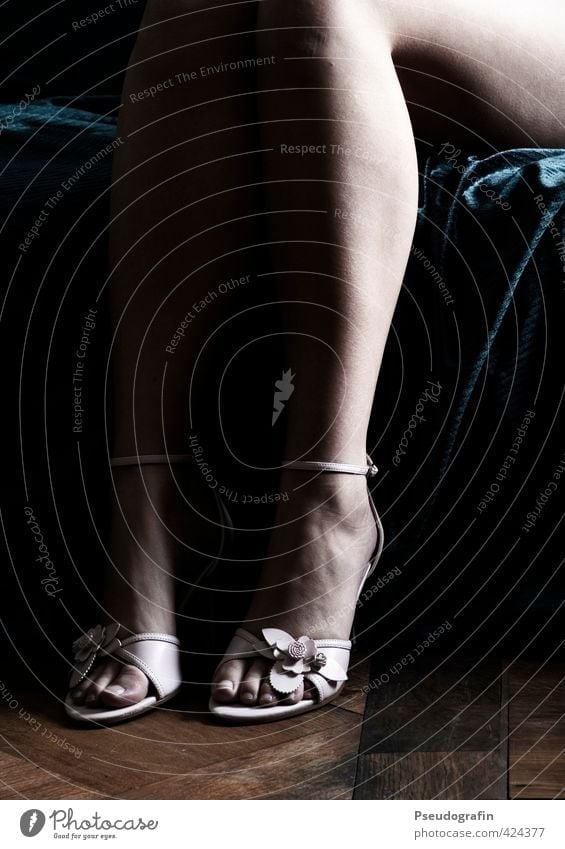 Beautiful Woman Legs Image & Photo (Free Trial)