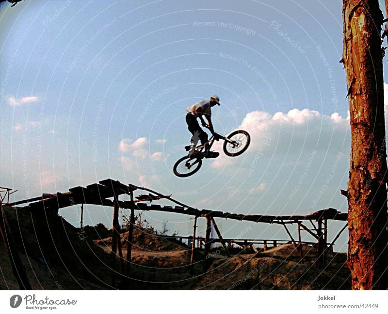 jump Bicycle Masculine Young man Youth (Young adults) 1 Human being Sky Beautiful weather Jump Movement Sports Mountain bike Extreme sports Evening Twilight
