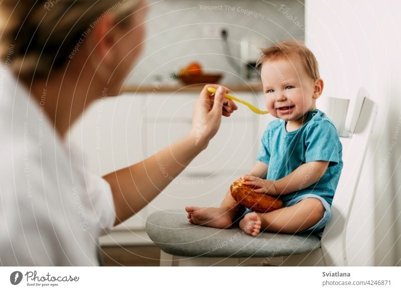 Mom feeds her little son sitting on a chair in the kitchen baby feeding mother high young porridge parent mom food toddler spoon family nutrition boy kid care