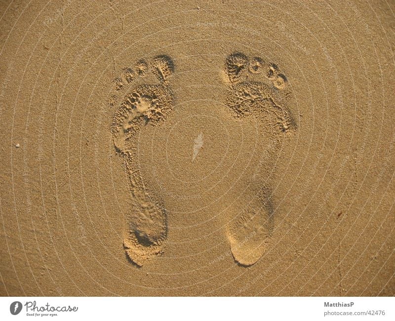 Sandpiper Beach Footprint A Royalty Free Stock Photo From Photocase