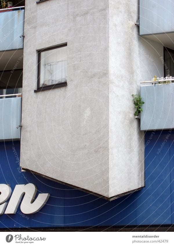 *en House (Residential Structure) Window Balcony Cologne Gray White Plaster Facade Architecture Blue