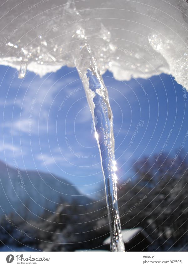 Icy Winter Icicle Federal State of Tyrol Cold Ice Sun Snow Water Landscape Detail