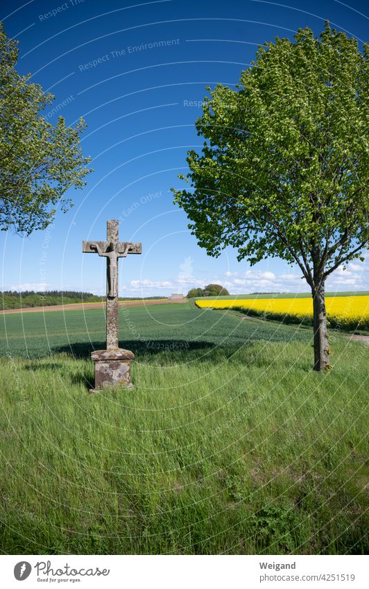 wayside cross in the country Catholic pray Prayer Spirituality Crucifix make a pilgrimage Break Landscape Canola Spring Church Christianity Jesus Meditation