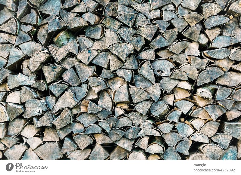 Stacked wood Wood Tree Tree bark Close-up Tree trunk Firewood Nature Deserted Forestry Log Fuel Logging Timber Cut tribes Silviculture Climate change