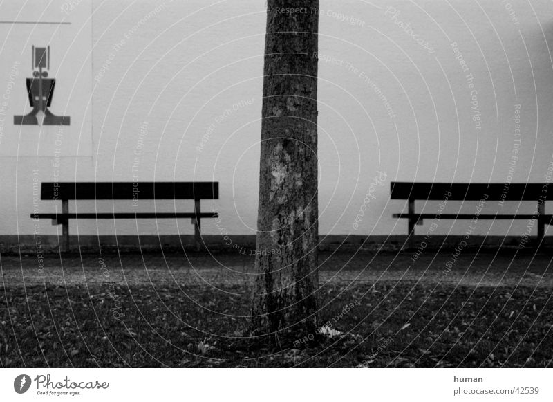 disassociated Tree trunk Wooden bench Divide Bench Black & white photo Signs and labeling