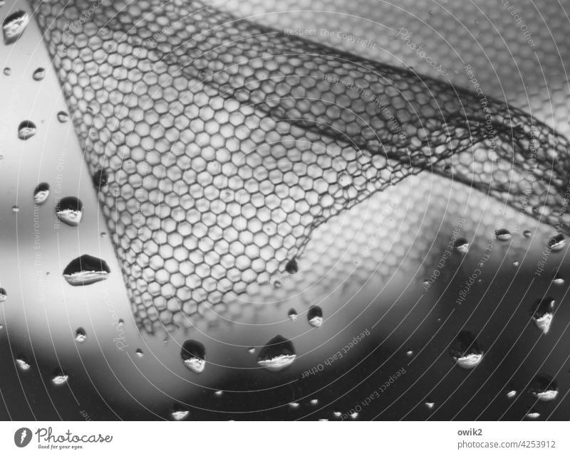 Implication weave Black & white photo Surface structure blurriness Grow hazy Long shot Shallow depth of field Fly screen hexagons Interior shot