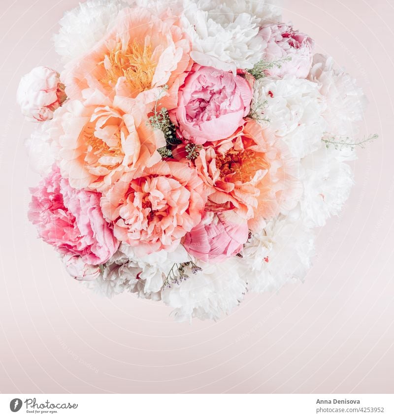 Amazing Fresh bunch of pink peonies - a Royalty Free Stock Photo from  Photocase