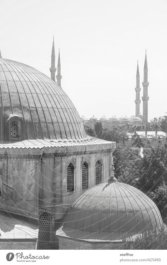 Orient Istanbul Turkey Church Esthetic Exceptional Mosque Blue Mosque Hagia Sophia Elegant Islam Near and Middle East Minaret Domed roof Black & white photo