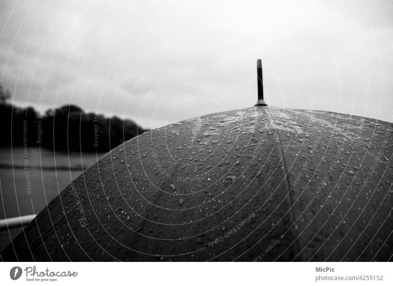 Umbrella with rain black and white grey in grey Rainy weather Wet Bad weather Weather Gray Exterior shot Water Cold Drops of water Deserted Detail Close-up