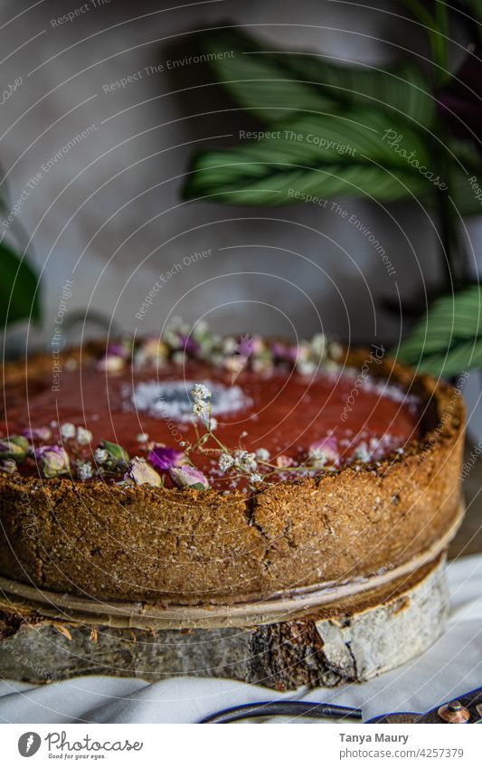 baked vegan cheesecake with poppy flower syrup gourmet Baking Baked goods poppy seed rustic vegan sweet Bakery Delicious Healthy Eating Sweet pie dried flowers