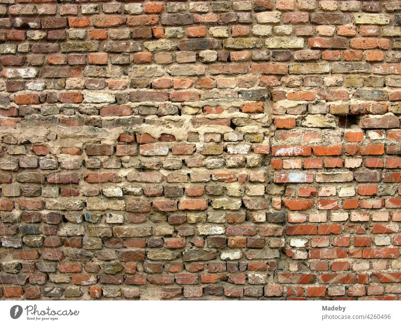 Dark Red Brick Wall. Seamless Tileable Texture. - Stock Image