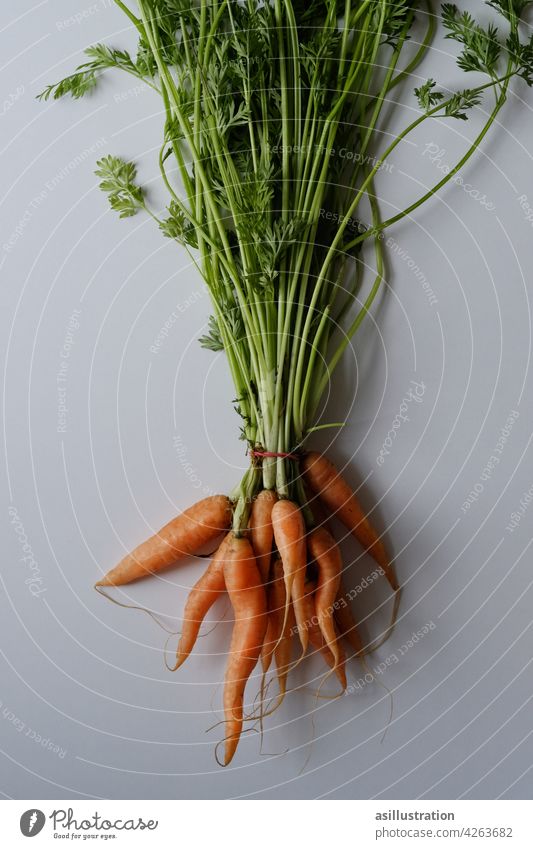 Carrots with green carrots carrot green Biological Food Vegetable Fresh Organic produce Vegetarian diet Nutrition Healthy Healthy Eating Orange Beta-carotene