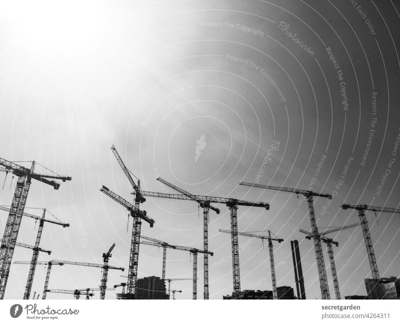 crane ballet Black & white photo Crane Deserted Exterior shot Construction site Clouds Work and employment Industry Economy Build Day Sky Technology